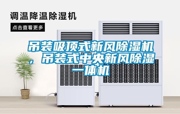 吊裝吸頂式新風(fēng)除濕機，吊裝式中央新風(fēng)除濕一體機