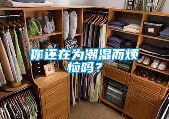 你還在為潮濕而煩惱嗎？
