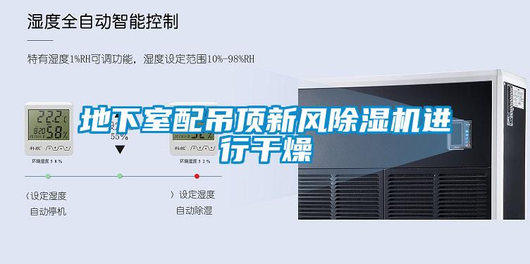 地下室配吊頂新風(fēng)除濕機進(jìn)行干燥