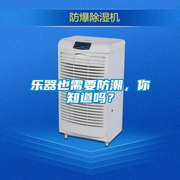 樂(lè )器也需要防潮，你知道嗎？