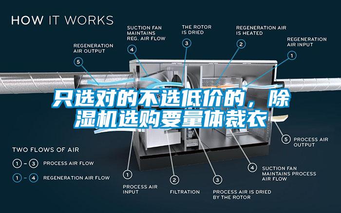 只選對的不選低價(jià)的，除濕機選購要量體裁衣