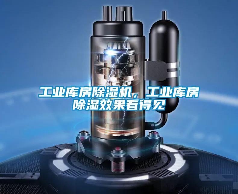 工業(yè)庫房除濕機，工業(yè)庫房除濕效果看得見(jiàn)