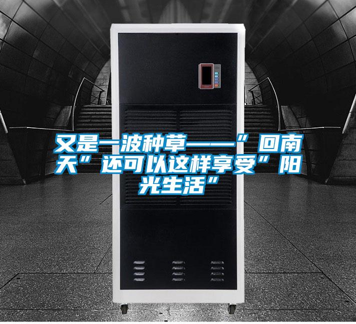 又是一波種草——”回南天”還可以這樣享受”陽(yáng)光生活”