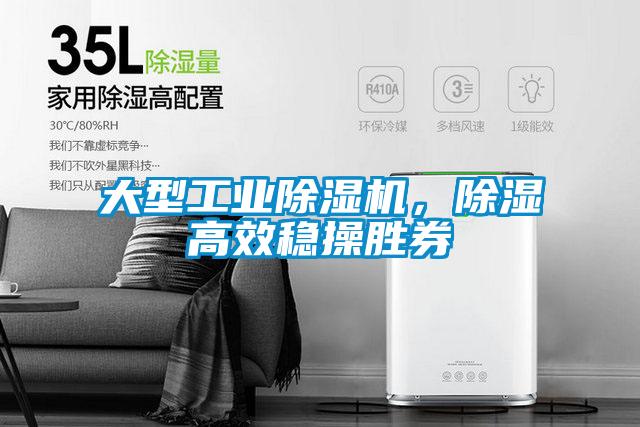 大型工業(yè)除濕機，除濕高效穩操勝券