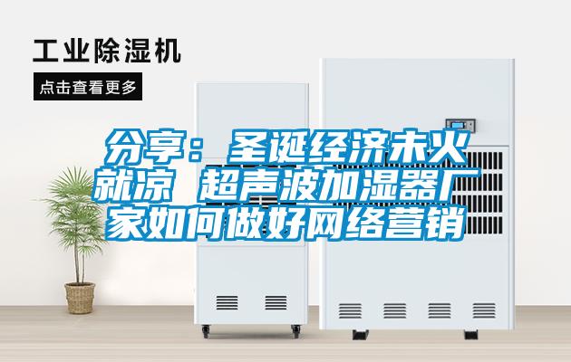 分享：圣誕經(jīng)濟未火就涼 超聲波加濕器廠(chǎng)家如何做好網(wǎng)絡(luò )營(yíng)銷(xiāo)