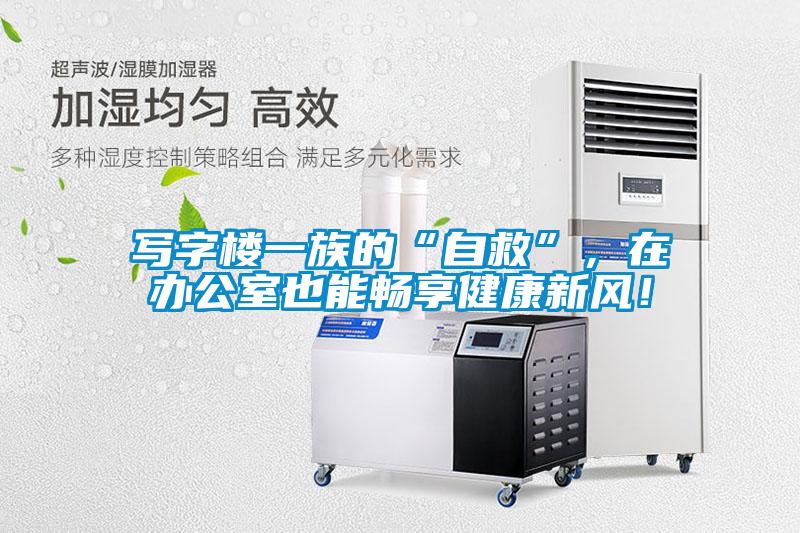寫(xiě)字樓一族的“自救”，在辦公室也能暢享健康新風(fēng)！