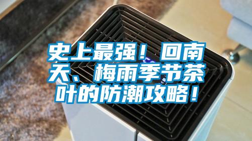 史上最強！回南天、梅雨季節茶葉的防潮攻略！