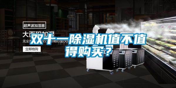 雙十一除濕機值不值得購買(mǎi)？