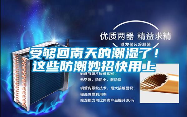 受夠回南天的潮濕了！這些防潮妙招快用上
