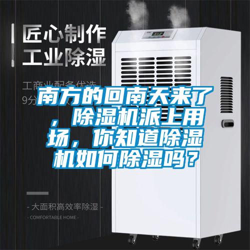 南方的回南天來(lái)了，除濕機派上用場(chǎng)，你知道除濕機如何除濕嗎？