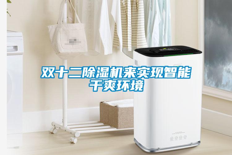 雙十二除濕機來(lái)實(shí)現智能干爽環(huán)境