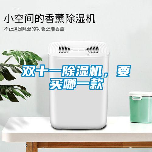 雙十一除濕機，要買(mǎi)哪一款