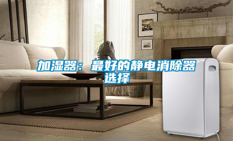 加濕器：最好的靜電消除器選擇