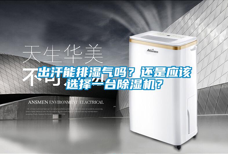 出汗能排濕氣嗎？還是應該選擇一臺除濕機？