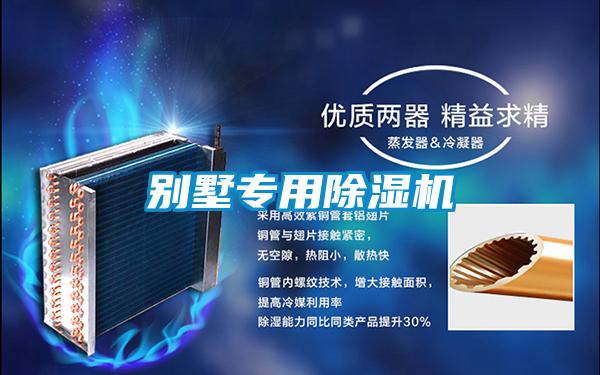 別墅專(zhuān)用除濕機