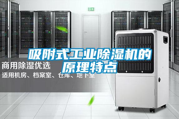 吸附式工業(yè)除濕機的原理特點(diǎn)
