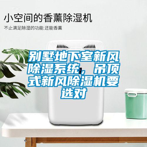 別墅地下室新風(fēng)除濕系統，吊頂式新風(fēng)除濕機要選對