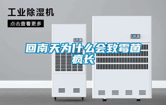 回南天為什么會(huì )致霉菌瘋長(cháng)
