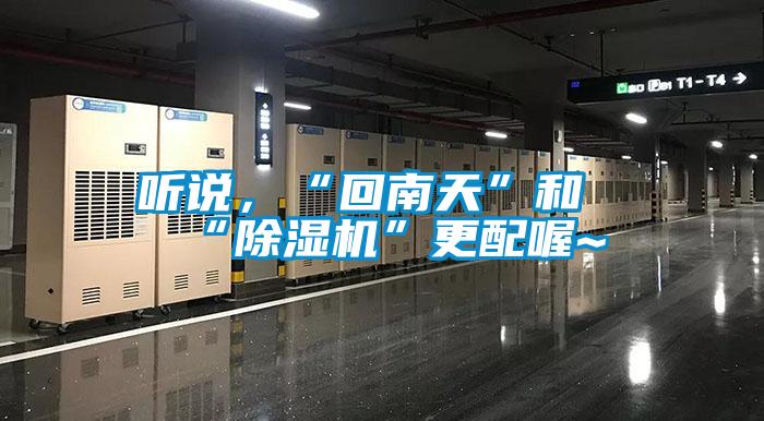 聽(tīng)說(shuō)，“回南天”和“除濕機”更配喔~