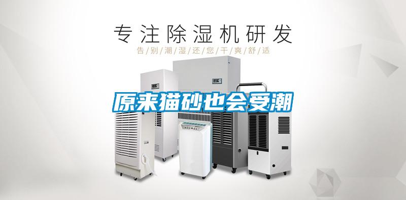 原來(lái)貓砂也會(huì )受潮