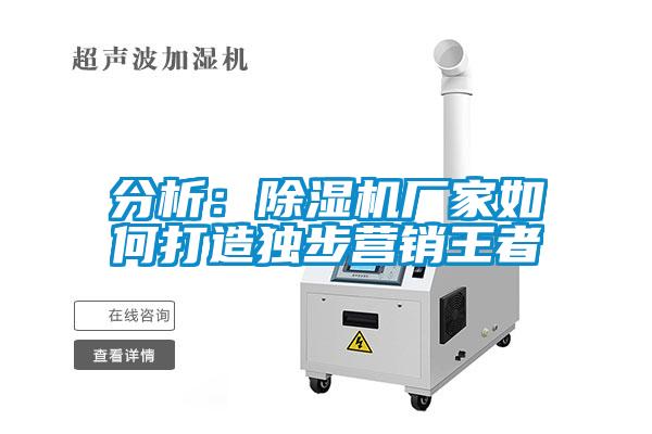 分析：除濕機廠(chǎng)家如何打造獨步營(yíng)銷(xiāo)王者