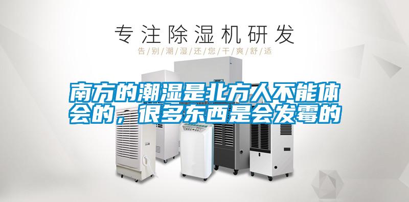 南方的潮濕是北方人不能體會(huì )的，很多東西是會(huì )發(fā)霉的