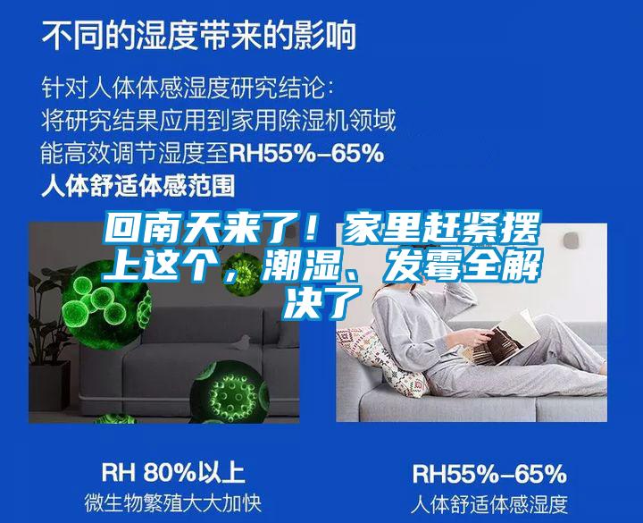 回南天來(lái)了！家里趕緊擺上這個(gè)，潮濕、發(fā)霉全解決了