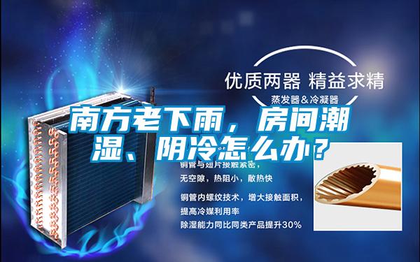 南方老下雨，房間潮濕、陰冷怎么辦？