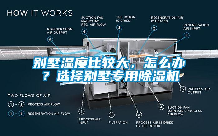別墅濕度比較大，怎么辦？選擇別墅專(zhuān)用除濕機