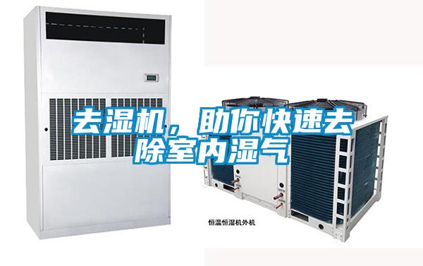 去濕機，助你快速去除室內濕氣