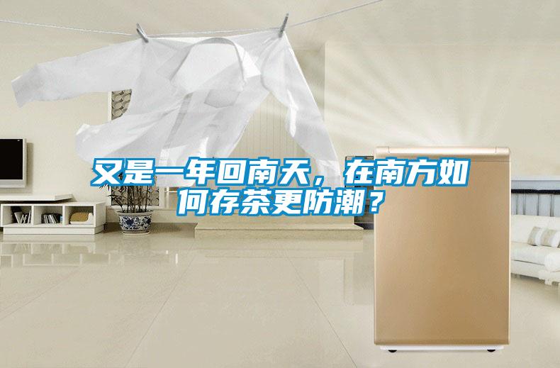 又是一年回南天，在南方如何存茶更防潮？
