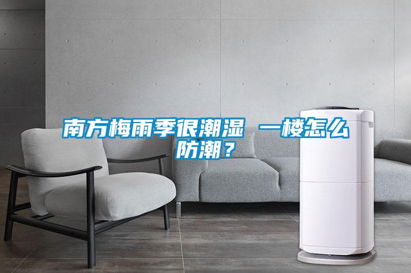 南方梅雨季很潮濕 一樓怎么防潮？