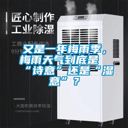 又是一年梅雨季，梅雨天氣到底是“詩(shī)意”還是“濕意”？