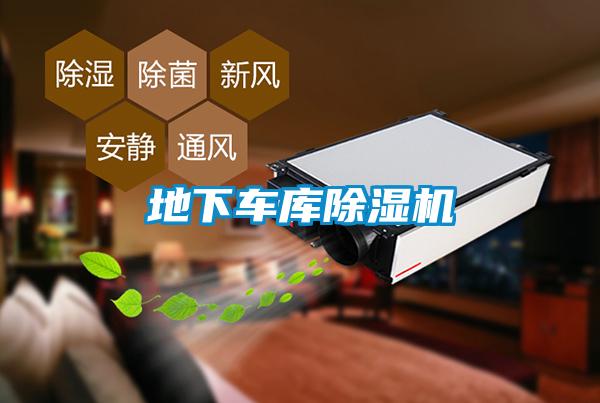 地下車(chē)庫除濕機