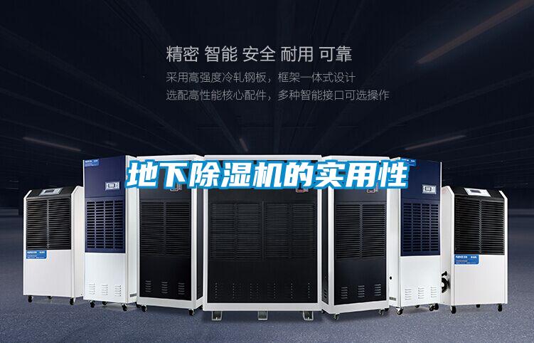 地下除濕機的實(shí)用性