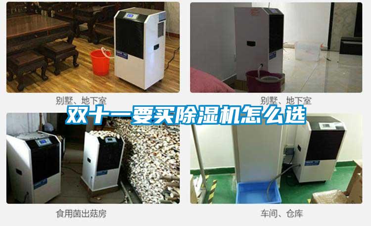 雙十一要買(mǎi)除濕機怎么選