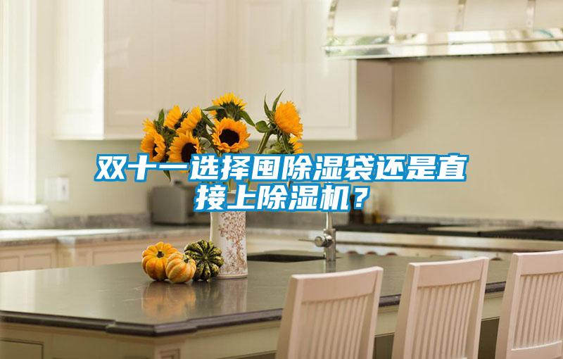 雙十一選擇囤除濕袋還是直接上除濕機？