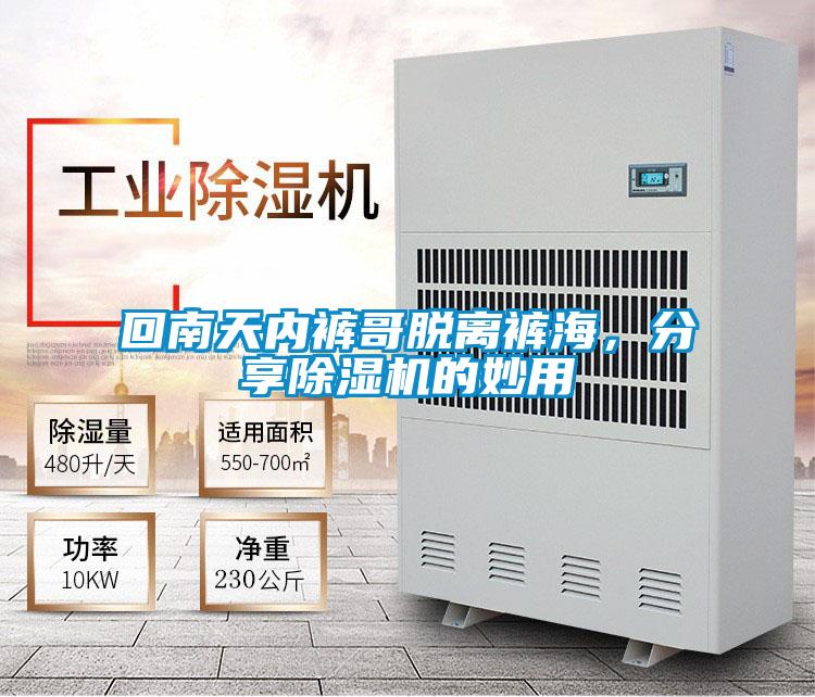 回南天內褲哥脫離褲海，分享除濕機的妙用