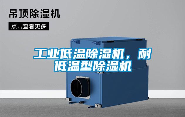 工業(yè)低溫除濕機，耐低溫型除濕機
