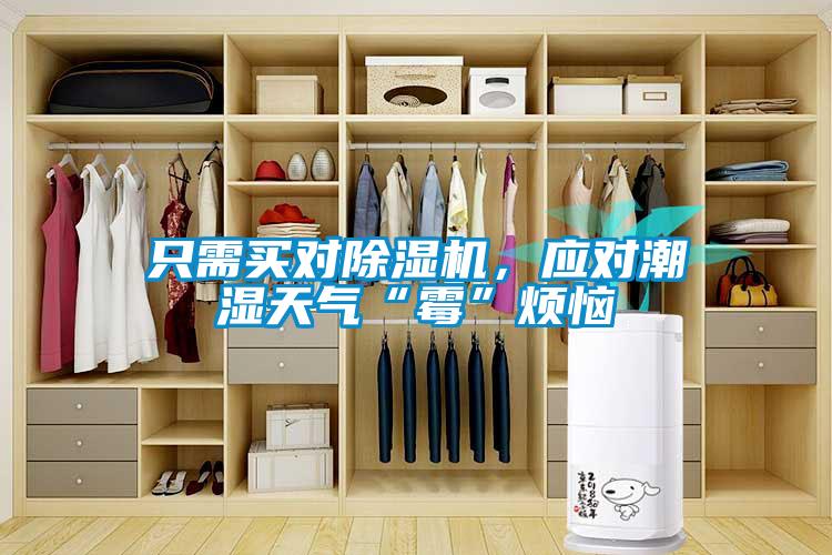只需買(mǎi)對除濕機，應對潮濕天氣“霉”煩惱