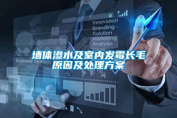 墻體滲水及室內發(fā)霉長(cháng)毛原因及處理方案