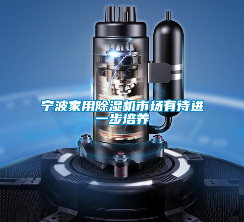 寧波家用除濕機市場(chǎng)有待進(jìn)一步培養