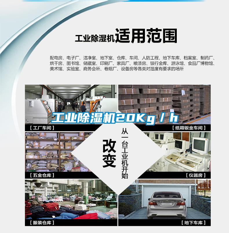 工業(yè)除濕機20Kg／h