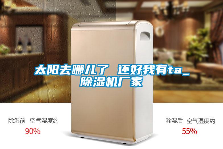 太陽(yáng)去哪兒了 還好我有ta_除濕機廠(chǎng)家