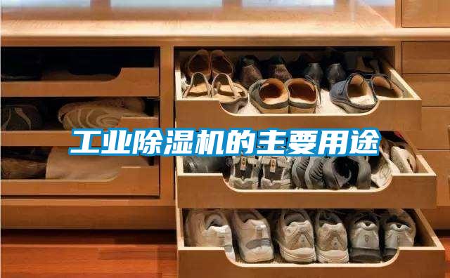 工業(yè)除濕機的主要用途