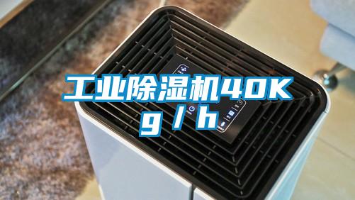 工業(yè)除濕機40Kg／h