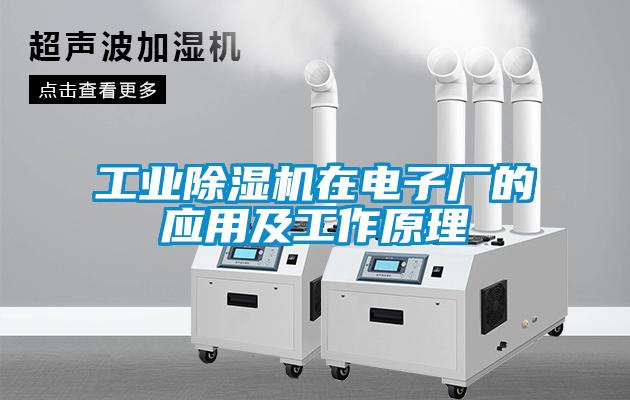 工業(yè)除濕機在電子廠(chǎng)的應用及工作原理