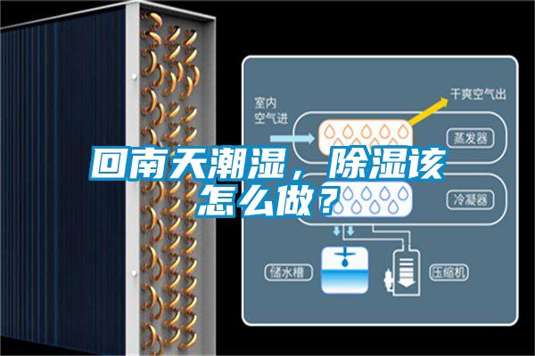 回南天潮濕，除濕該怎么做？