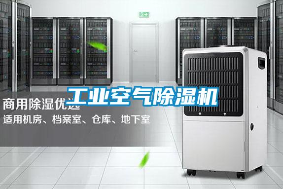 工業(yè)空氣除濕機