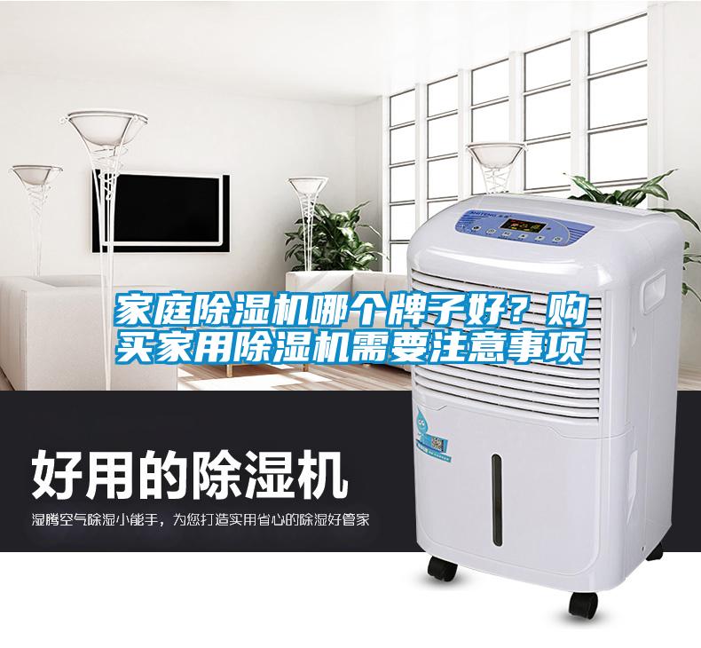 家庭除濕機哪個(gè)牌子好?購買(mǎi)家用除濕機需要注意事項